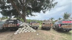 Homem é preso em Timon suspeito de ser dono de sítio que tinha 700 kg de drogas (Foto: Reprodução)