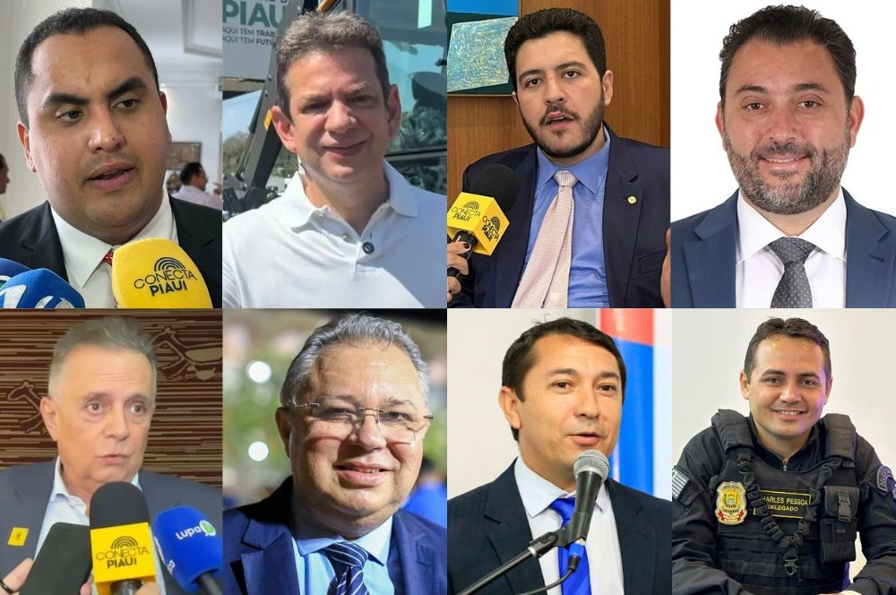 Intenções de voto para deputado federal no Piauí