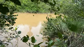 Jovem morre afogado em rio durante pescaria na zona rural de Pedro II (Foto: Reprodução FM Imperial)