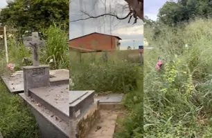 Matagal encobre túmulos e revolta visitante em cemitério de Teresina (Foto: Reprodução)