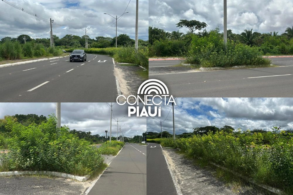 Mato alto gera risco de acidentes de trânsito em avenida na zona Leste de Teresina