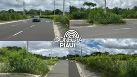 Mato alto gera risco de acidentes de trânsito em avenida na zona Leste de Teresina (Foto: Conecta Piauí)