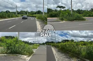 Mato alto gera risco de acidentes de trânsito em avenida na zona Leste de Teresina (Foto: Conecta Piauí)
