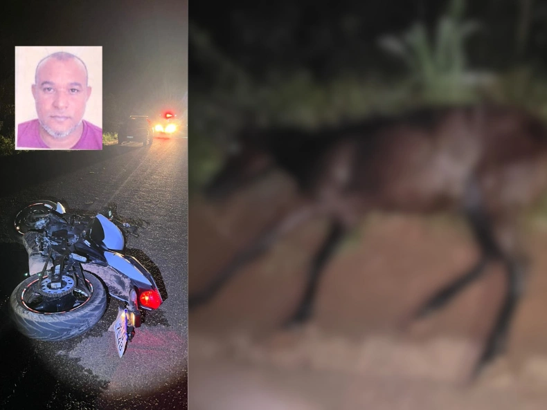 Motociclista morre após bater em cavalo solto na PI-115 no Piauí