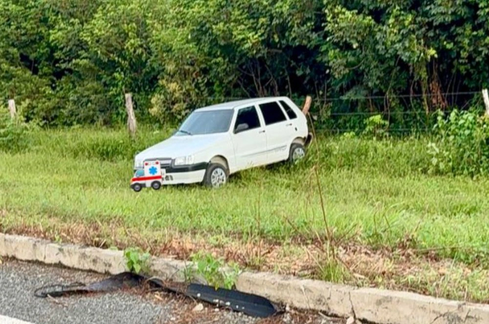 Motorista perde controle ao desviar de motociclista e sai da pista na PI-225