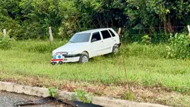 Motorista perde controle ao desviar de motociclista e sai da pista na PI-225 (Foto: Reprodução)