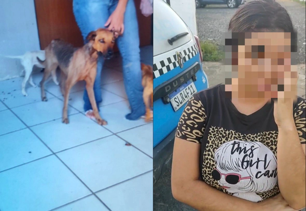 Mulher é detida por maus-tratos após abandonar cães na zona norte de Teresina