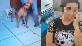 Mulher é detida por maus-tratos após abandonar cães na zona norte de Teresina (Foto: Conecta Piauí)