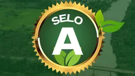 Município de Ribeiro Gonçalves conquista Selo A no ICMS Ecológico (Foto: Reprodução)