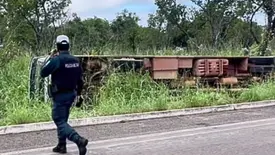 Ônibus escolar tomba e deixa alunos feridos na BR-343, zona rural de Floriano (Foto: Reprodução)