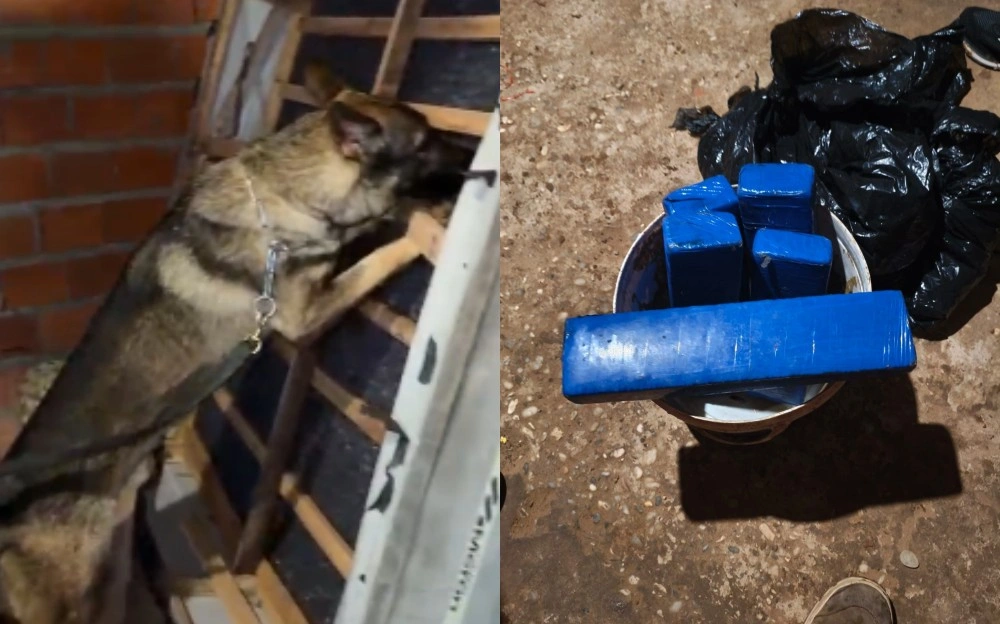 Operação integrada cumpre 62 ordens judiciais contra organização criminosa no PI