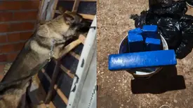 Operação integrada cumpre 62 ordens judiciais contra organização criminosa no PI (Foto: Reprodução)