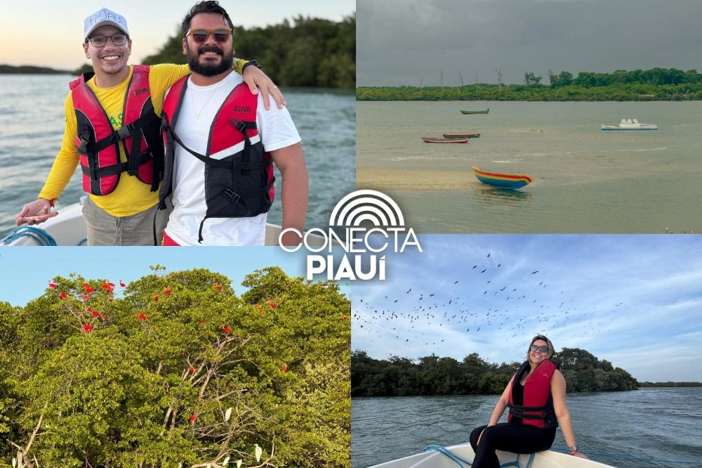 Passeio ‘Encanto dos Guarás’ impulsiona turismo no litoral do Piauí