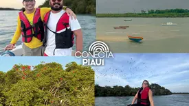 Passeio ‘Encanto dos Guarás’ impulsiona turismo no litoral do Piauí (Foto: Reprodução)