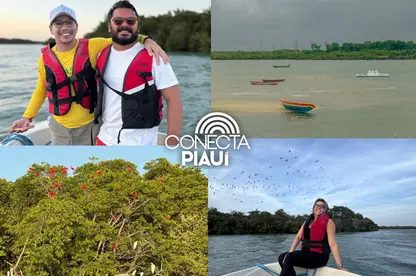 Passeio ‘Encanto dos Guarás’ impulsiona turismo no litoral do Piauí