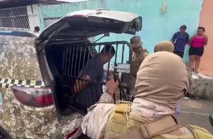 Polícia apreende drogas e prende suspeito de ligação com tráfico em Teresina (Foto: Divulgação/SSP-PI)