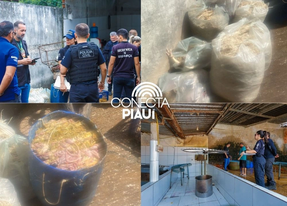 Polícia Civil deflagra operação e fecha abatedouro clandestino de aves em Teresina