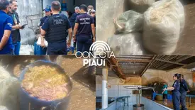 Polícia Civil deflagra operação e fecha abatedouro clandestino de aves em Teresina (Foto: SSP-PI)