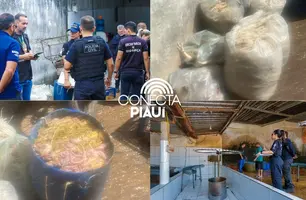 Polícia Civil deflagra operação e fecha abatedouro clandestino de aves em Teresina (Foto: SSP-PI)