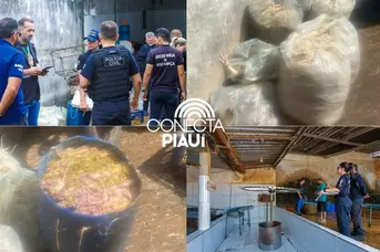 Polícia Civil deflagra operação e fecha abatedouro clandestino de aves em Teresina