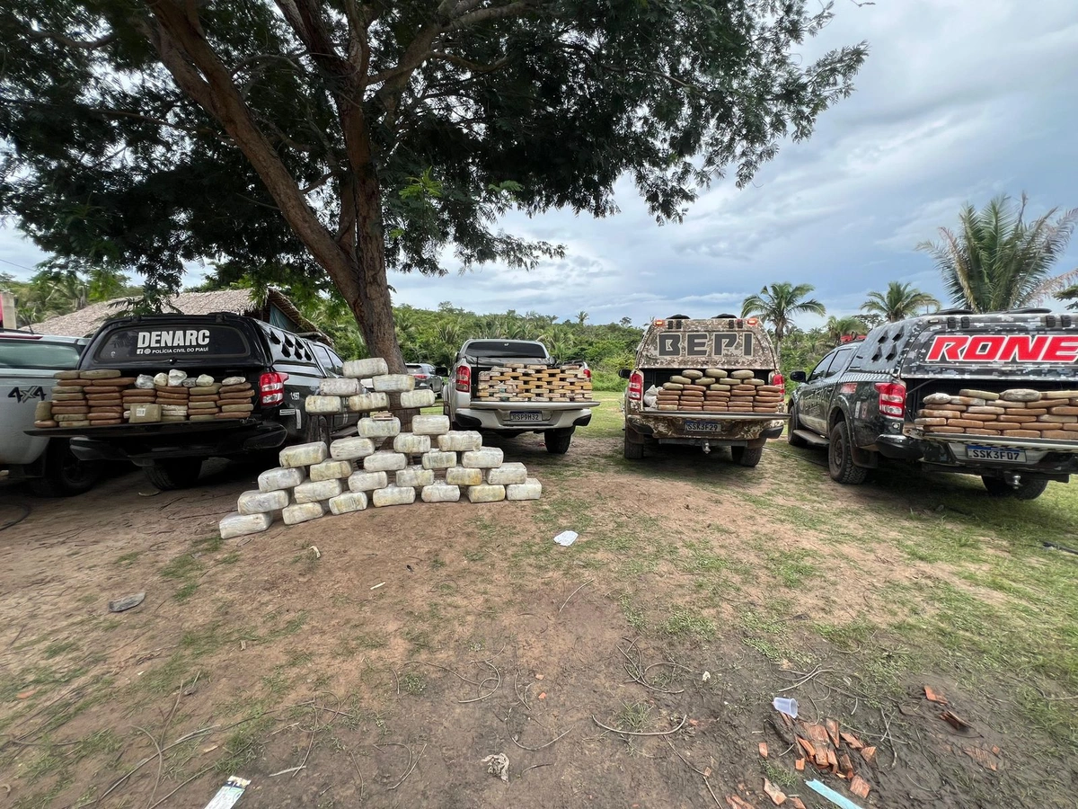 Polícias do Piauí apreendem 400 kg de drogas em sítio na zona rural de Caxias