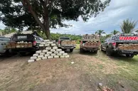 Polícias do Piauí apreendem 400 kg de drogas em sítio na zona rural de Caxias