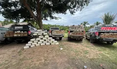 Forças de segurança do Piauí apreendem 400 kg de drogas em área de sítio em Caxias