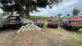 Polícias do Piauí apreendem 400 kg de drogas em sítio na zona rural de Caxias (Foto: Divulgação/SSP-PI)