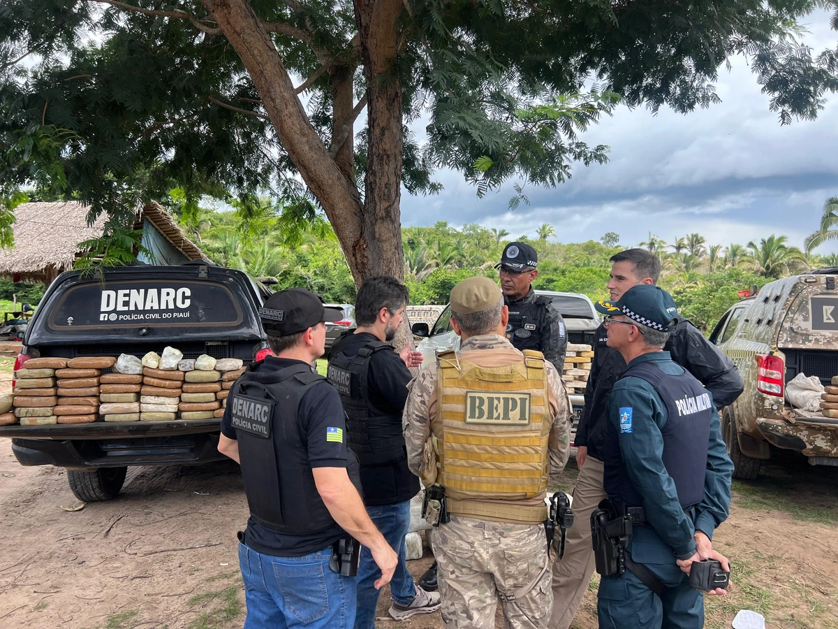 Polícias do Piauí apreendem 400 kg de drogas em sítio na zona rural de Caxias