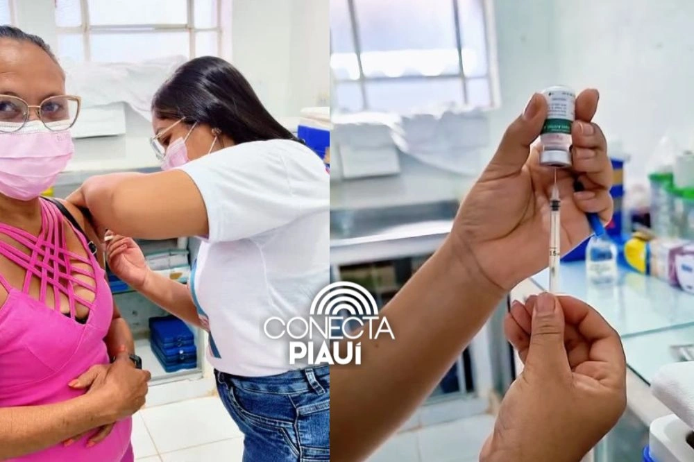 Prefeitura de Eliseu Martins realiza Dia D de vacinação contra a gripe