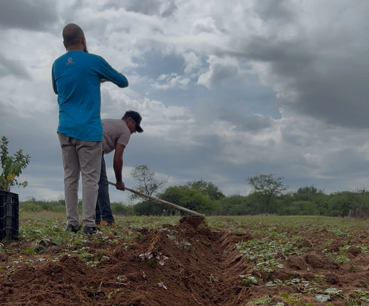 Previsão aponta chuvas no PI, mas com forte variação entre municípios