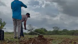 Previsão aponta chuvas no PI, mas com forte variação entre municípios (Foto: Reprodução)