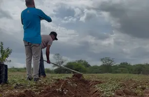 Previsão aponta chuvas no PI, mas com forte variação entre municípios (Foto: Reprodução)