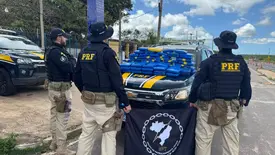 PRF apreende cerca de 90 kg de supermaconha na BR-402, entre Piauí e o Maranhão (Foto: Divulgação/PRF)