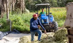 Programa de Silagem de Milho beneficia 200 produtores na zona rural de Uruçuí