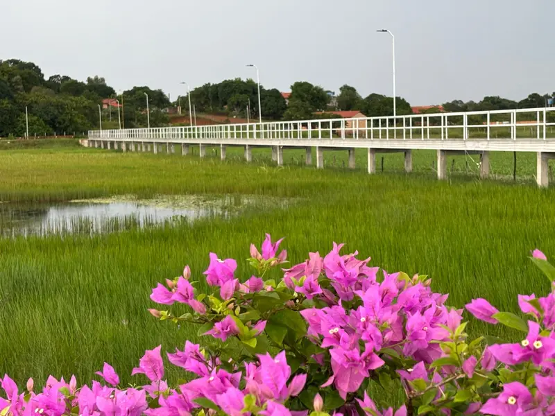 Rafael Fonteles entrega asfalto e anuncia novos investimentos em Nazaré