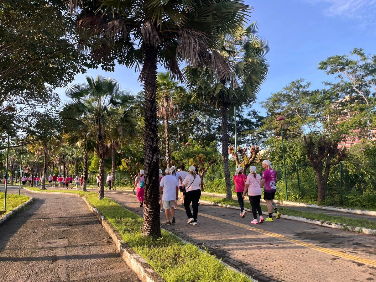 Rede Feminina de Combate ao Câncer do Piauí celebra 39 anos de atuação e lança campanha 'Preciso Viver'