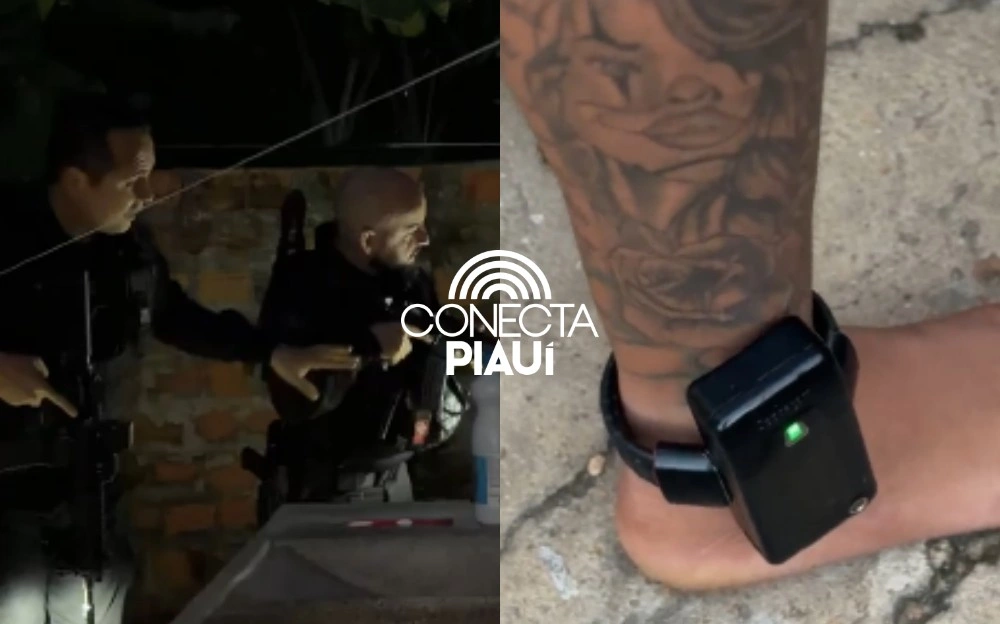 SSP deflagra operação e cumpre mandados contra organização criminosa em Nazária