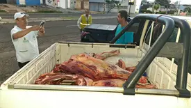 Vigilância Sanitária apreende 230 kg de carne irregular em Teresina (Foto: FMS)