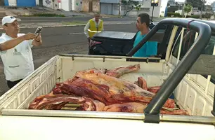 Vigilância Sanitária apreende 230 kg de carne irregular em Teresina (Foto: FMS)