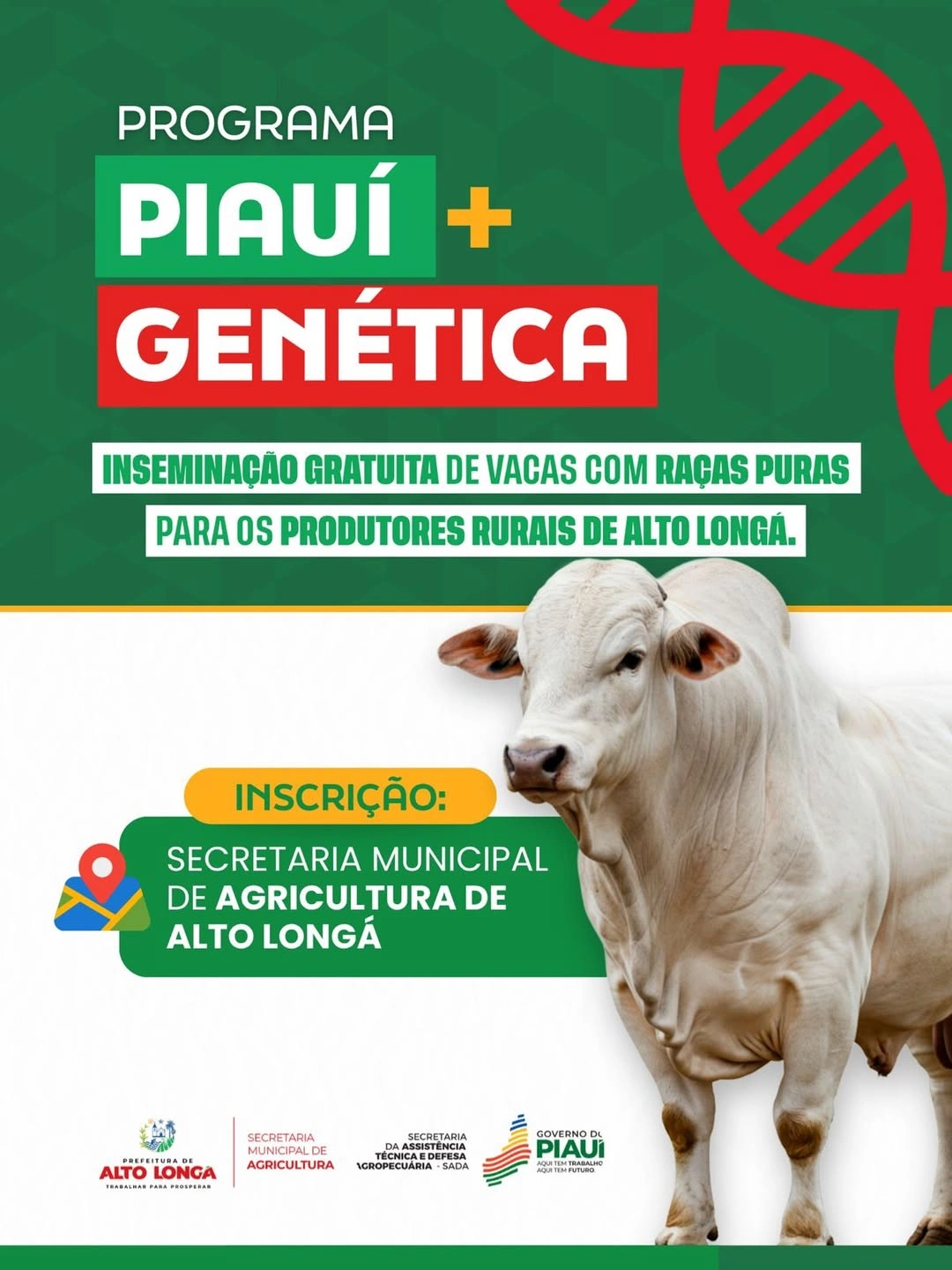 Alto Longá abre inscrições para inseminação gratuita de vacas com raças puras