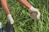 Amarante reforça alerta para combate à dengue e limpeza de terrenos