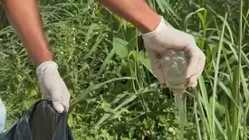 Amarante reforça alerta para combate à dengue e limpeza de terrenos (Foto: Reprodução)