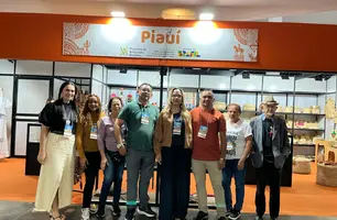 Artesanato piauiense ganha destaque no maior salão do setor no Brasil (Foto: Reprodução)