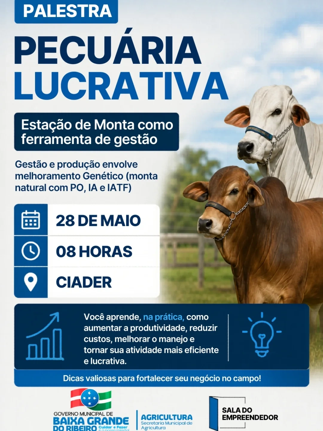 Baixa Grande do Ribeiro promove palestra sobre pecuária lucrativa e gestão no campo