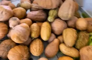 Beneditinos entrega alimentos do PAA e fortalece agricultura familiar (Foto: Reprodução)
