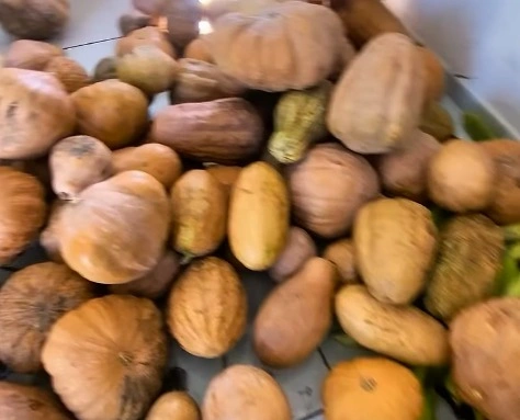 Beneditinos entrega alimentos do PAA e fortalece agricultura familiar