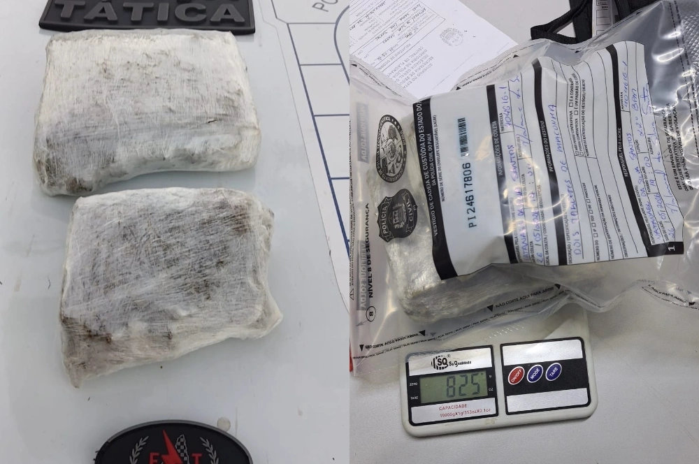 Dois tabletes de maconha são encontrados enterrados na zona Norte de Teresina