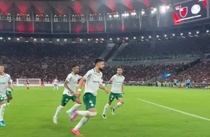 Flamengo x Palmeiras: briga pela liderança bate recorde de público no Brasileirão (Foto: Reprodução/Instagram Palmeiras)
