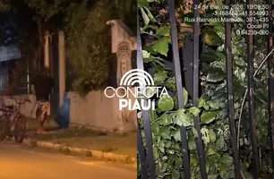 Homem em surto psicótico danifica dependências da delegacia de Cocal (Foto: Reprodução)